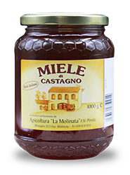 Produzione e vendita diretta online di Miele di Castagno italiano di Alta Qualità eCommerce vendita diretta online di Miele di Castagno