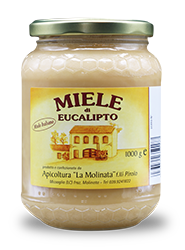 Produzione e vendita diretta online di Miele di Eucalipto italiano di Alta Qualità eCommerce vendita diretta online di Miele di Eucalipto