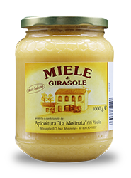 Produzione e vendita diretta online di Miele di Girasole italiano di Alta Qualità eCommerce vendita diretta online di Miele di Girasole